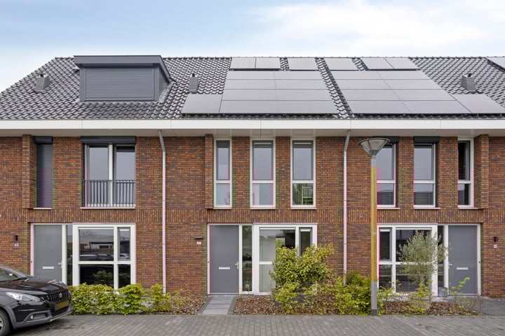 Zonnebloem 47 in Berghem