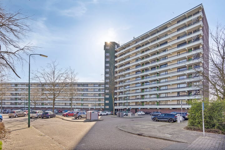 Zuiderkruis 100 in Veenendaal