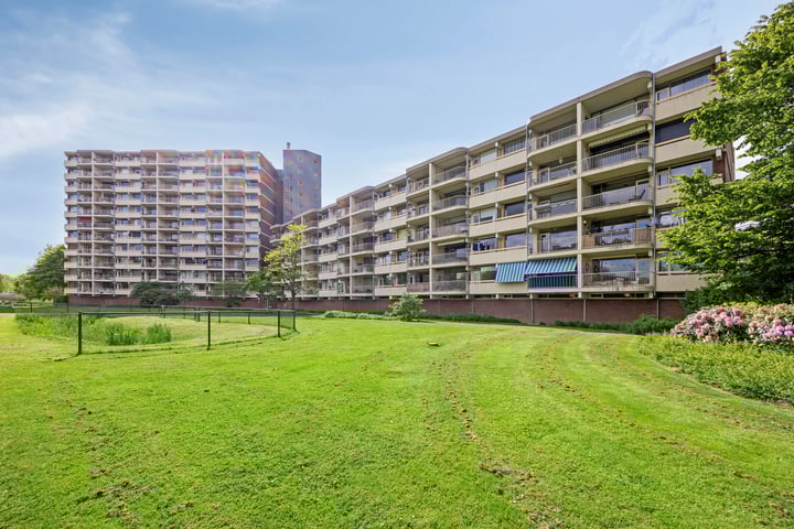 Zuiderkruis 310 in Veenendaal