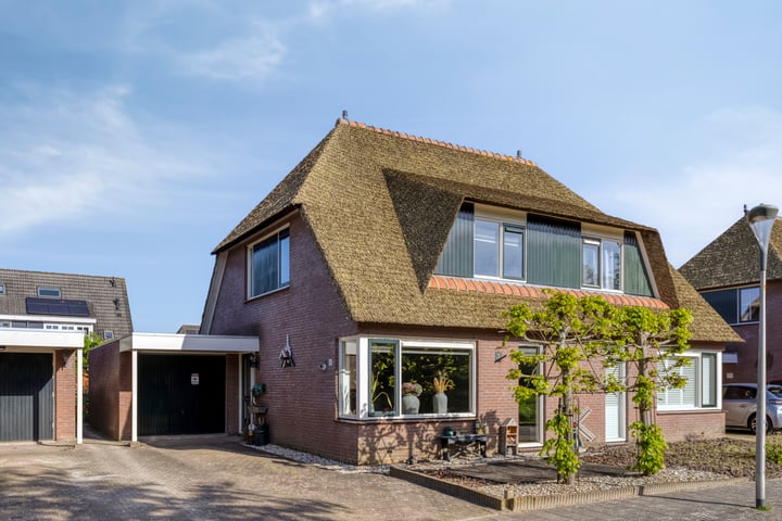 Zwanebloem 14 in Swifterbant foto
