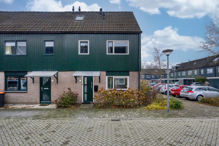 Zwanebloem 36 in Zwaag