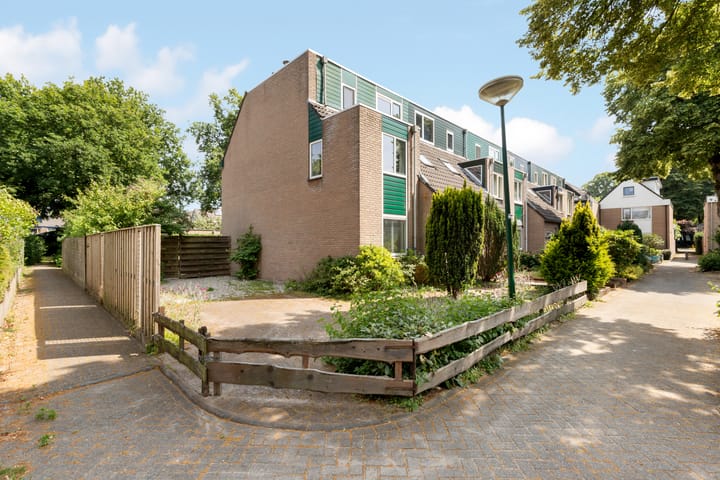 Zwanebloem 7 in Maartensdijk foto