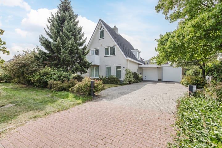 Zwarte Dolfijn 26 in Heerhugowaard
