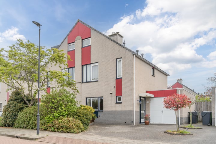 Zwarte Dolfijn 45 in Heerhugowaard