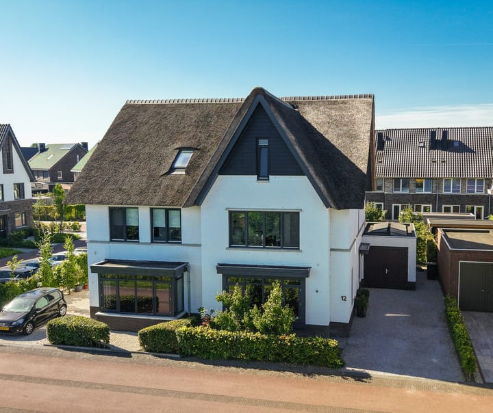 Zwarte Roodstaart 12 in Woudenberg