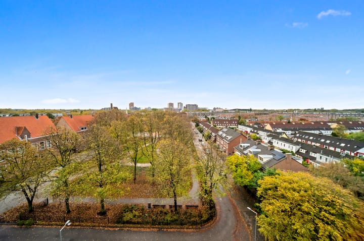 Zwartewaalstraat 91 in Rotterdam