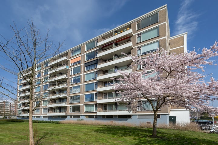 Zwedenburg 364 in 's-Gravenhage photo