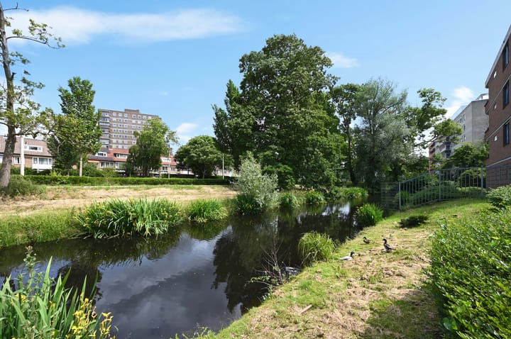 Zwedenburg 370 in 's-Gravenhage Foto