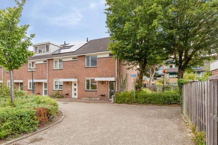 Zwenkgras 1 in Leiden