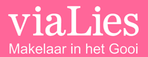 Logo van Vialies