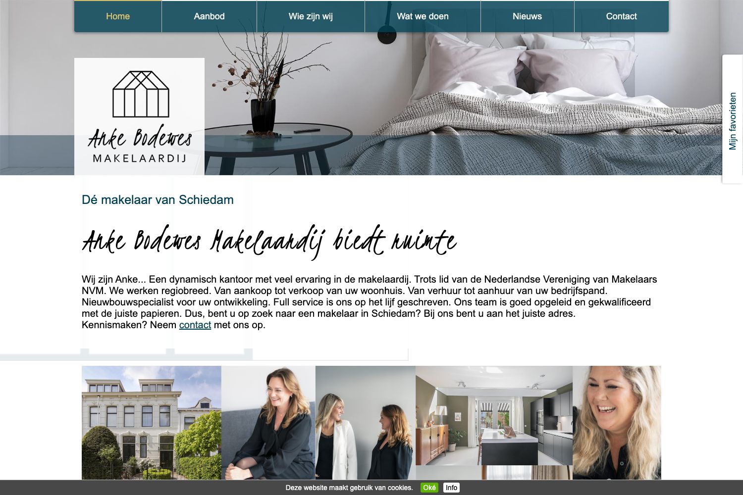 Website screenshot https://ankebodewes.nl