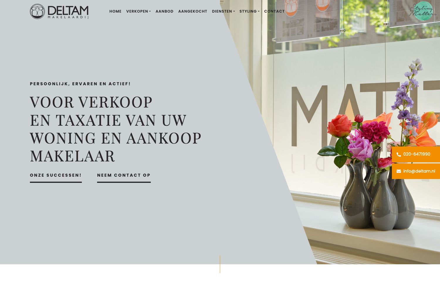 Website screenshot https://deltam.nl