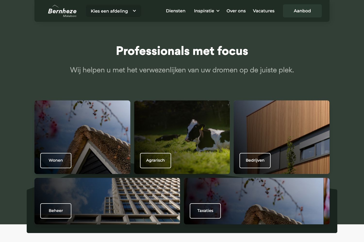 Website screenshot https://bernheze.nl
