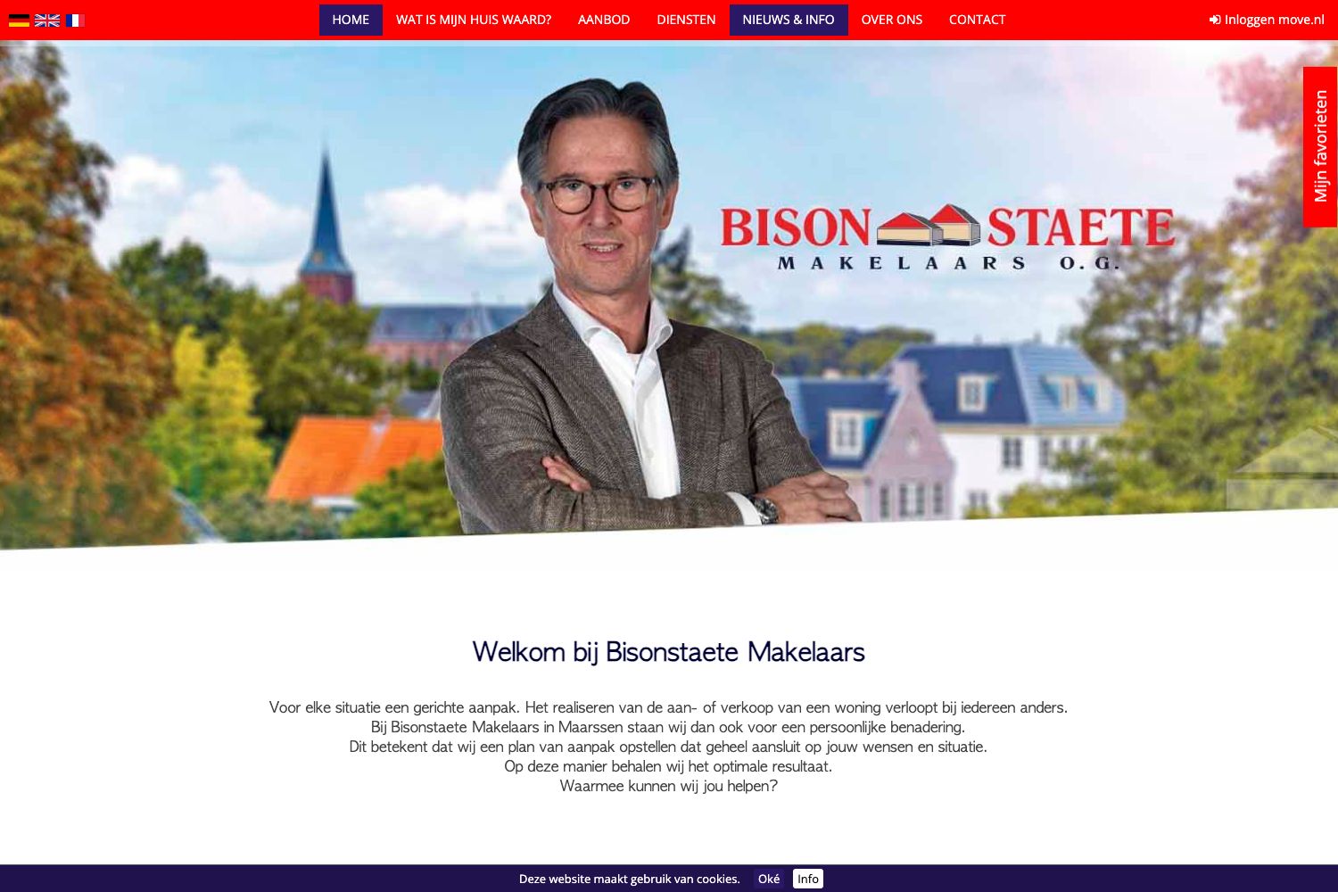 Website screenshot https://bisonstaete.nl