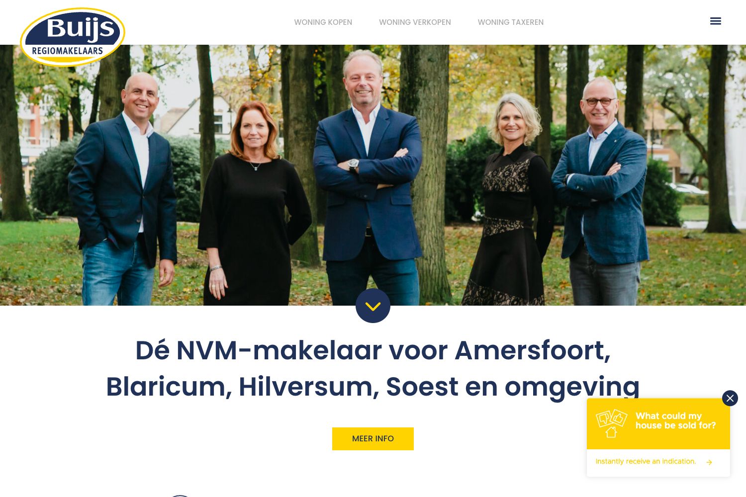 Website screenshot https://buijsregiomakelaars.nl