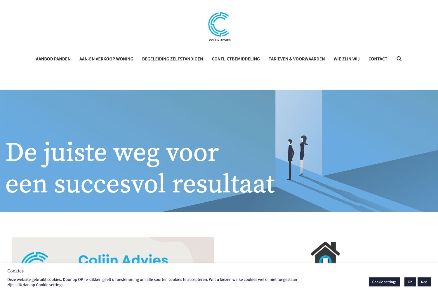 Website screenshot https://colijnadvies.nl