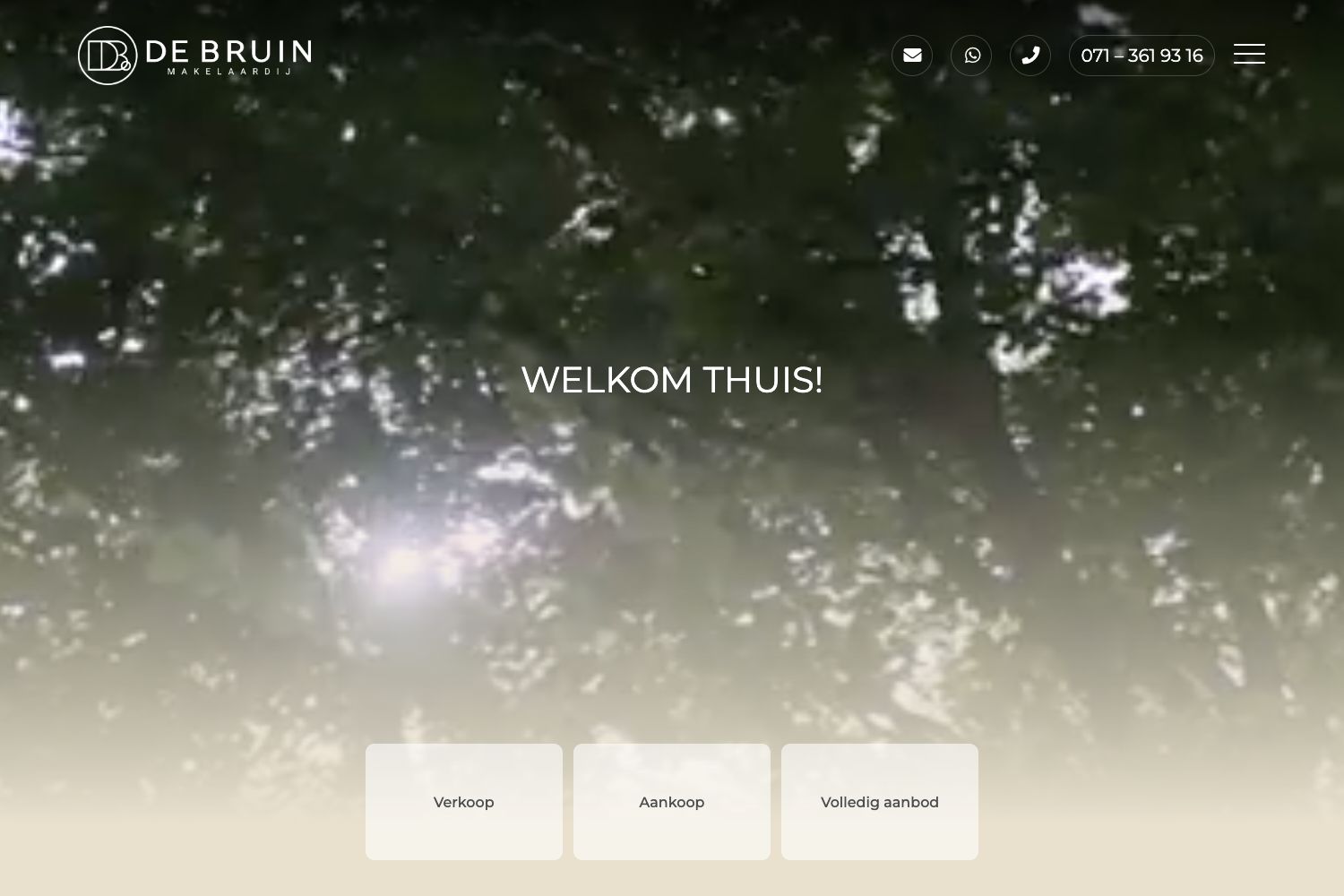 Website screenshot https://debruinmakelaardij.nl