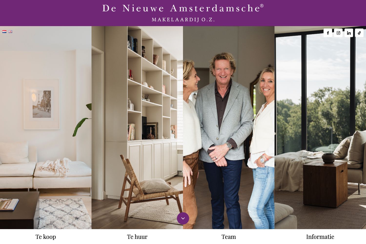 Website screenshot https://denieuweamsterdamsche.nl