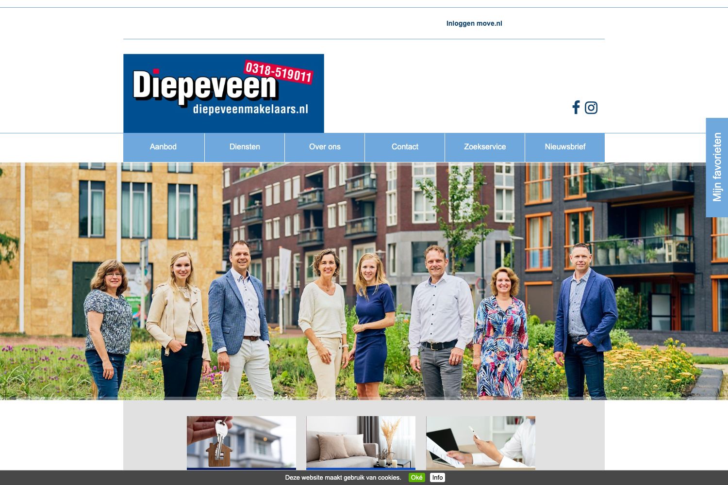 Website screenshot https://diepeveenmakelaars.nl