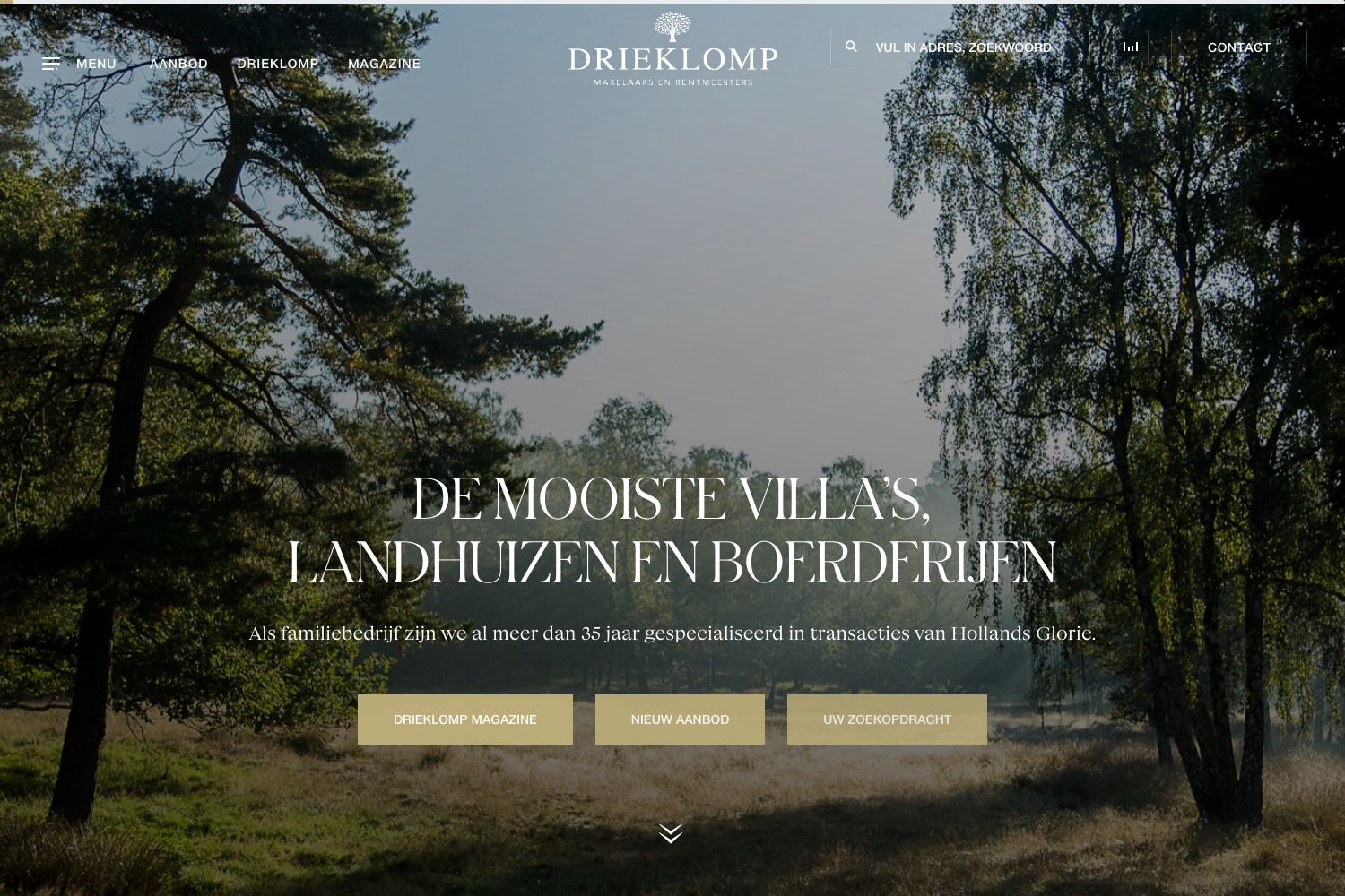 Website screenshot https://drieklomp.nl
