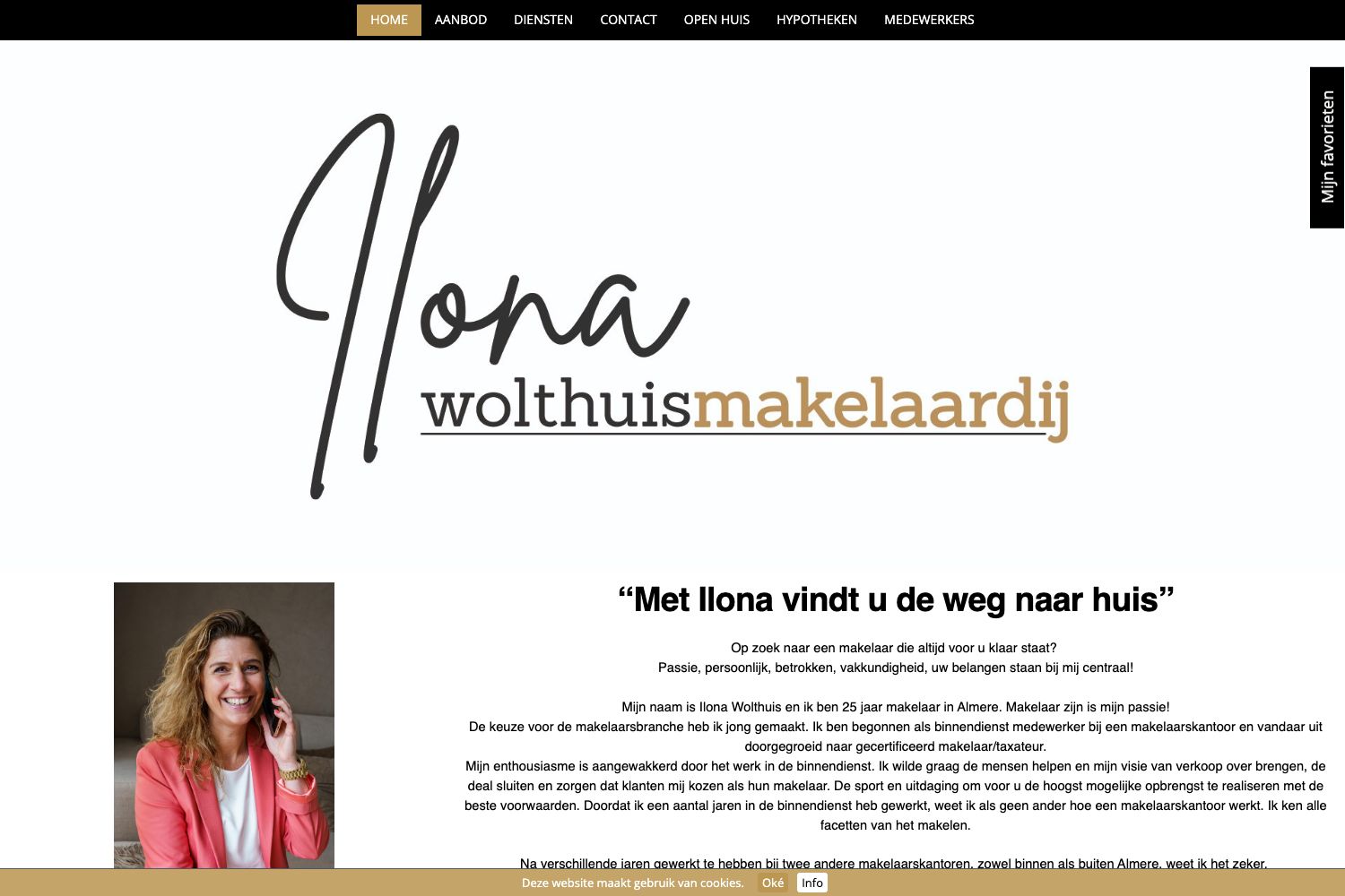 Website screenshot https://wolthuismakelaardij.nl