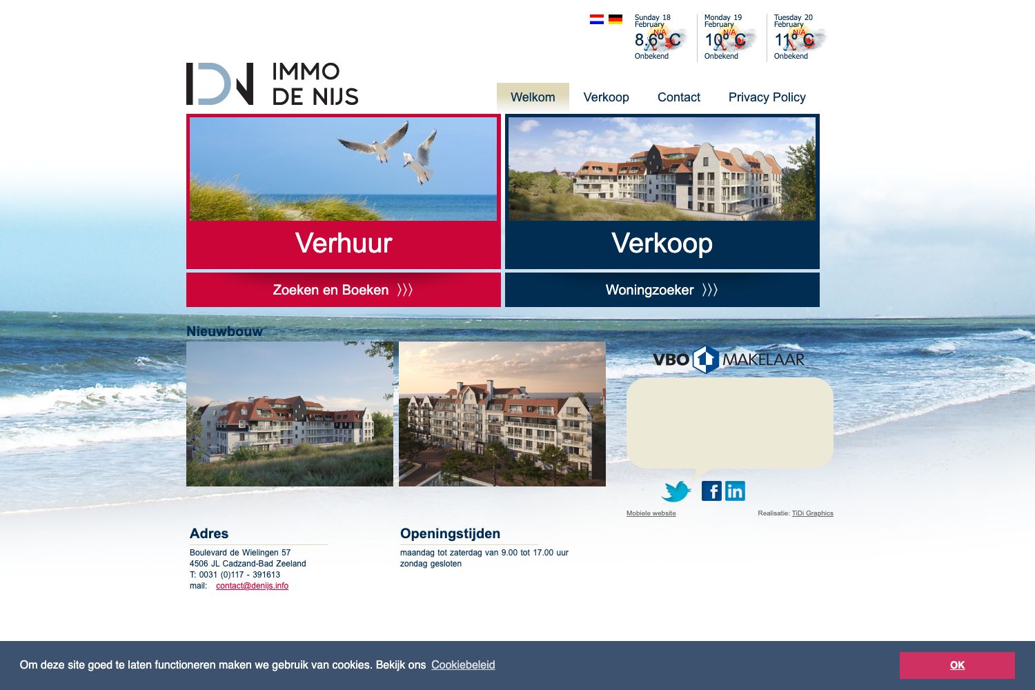 Website screenshot https://denijs.info