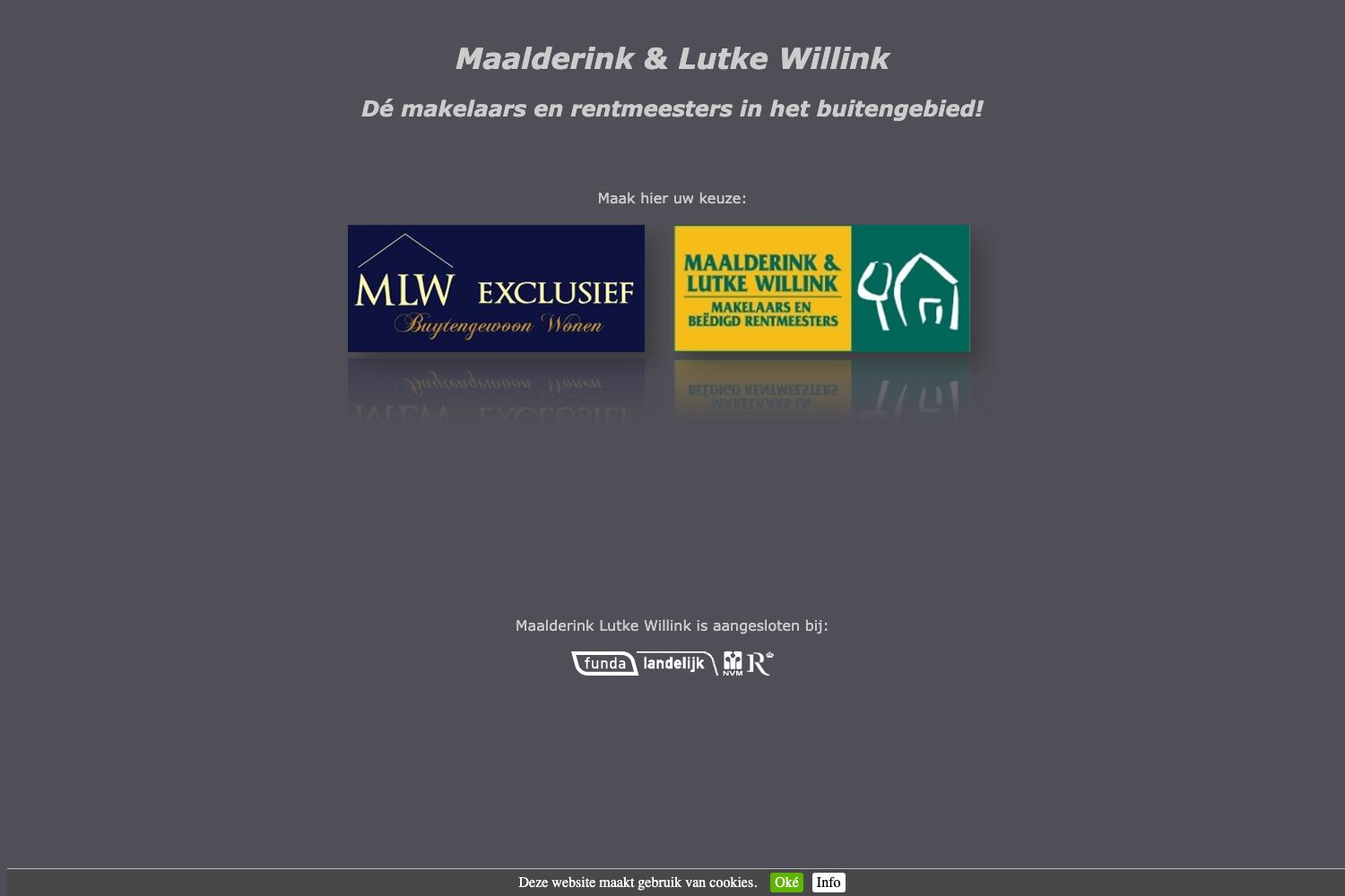 Website screenshot https://maalderinklutkewillink.nl