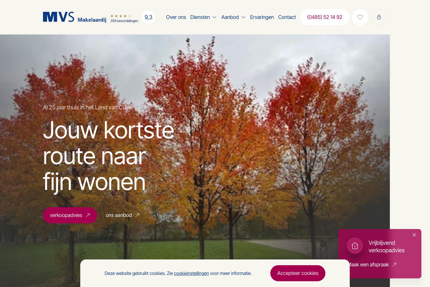 Website screenshot https://mvsmakelaardij.nl