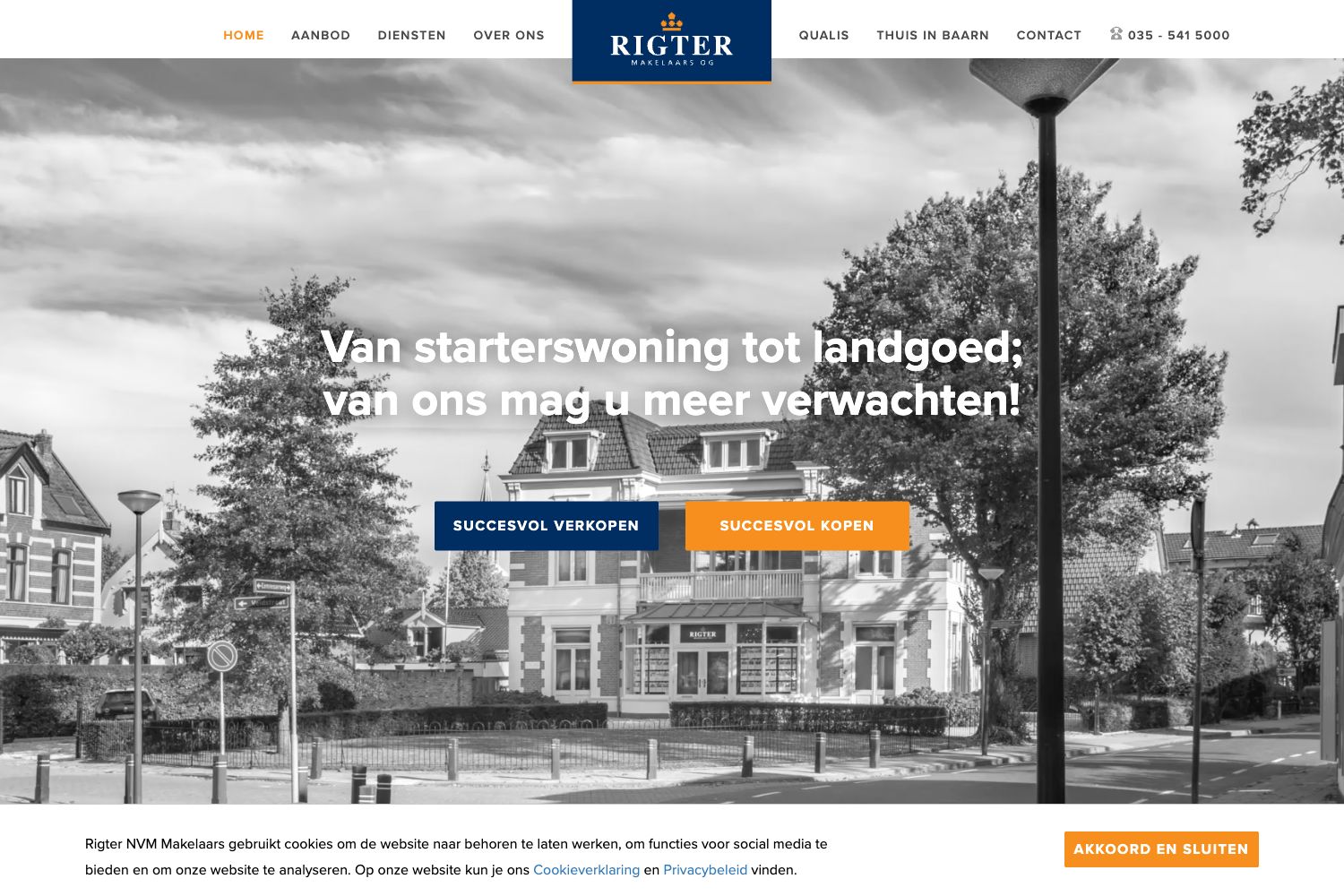 Website screenshot https://rigter.nl