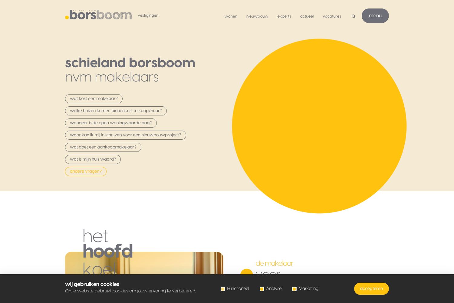 Website screenshot https://schielandborsboom.nl