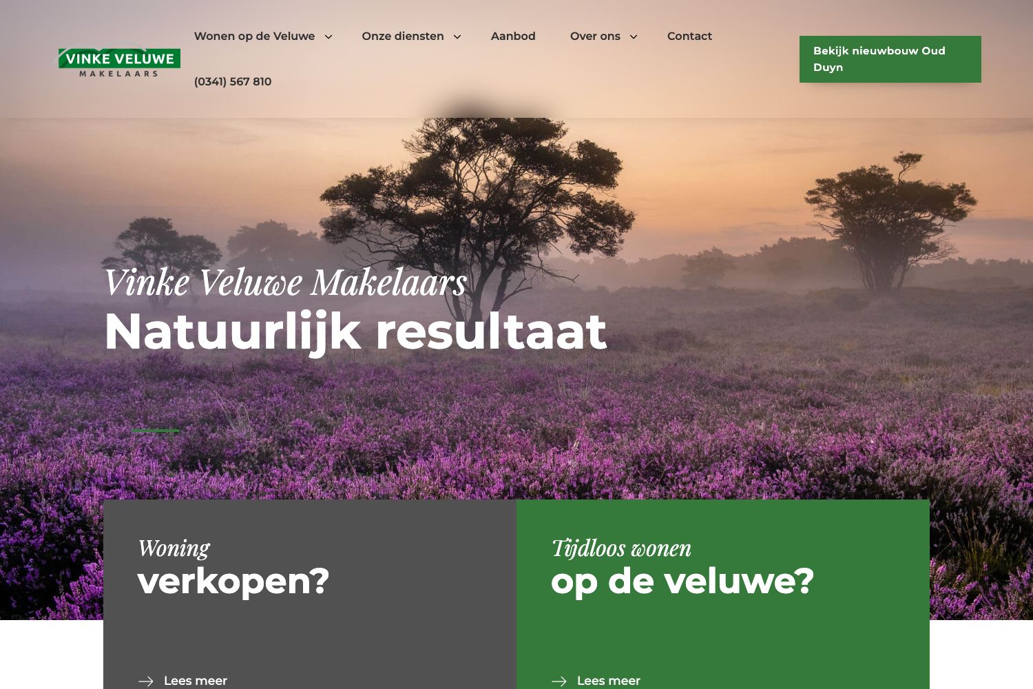 Website screenshot https://vinkeveluwe.nl