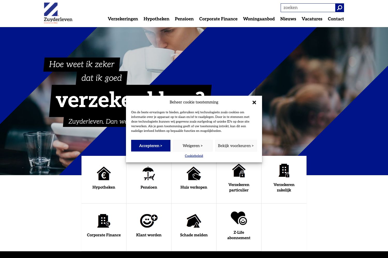 Website screenshot https://zuyderleven.nl